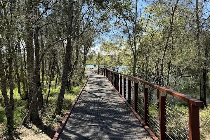 Shaded boardwalk walking track through coastal bushland, Gold Coast