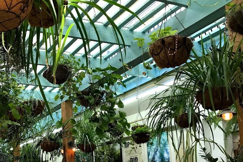Plant-filled café on James Street, Burleigh Heads, Gold Coast